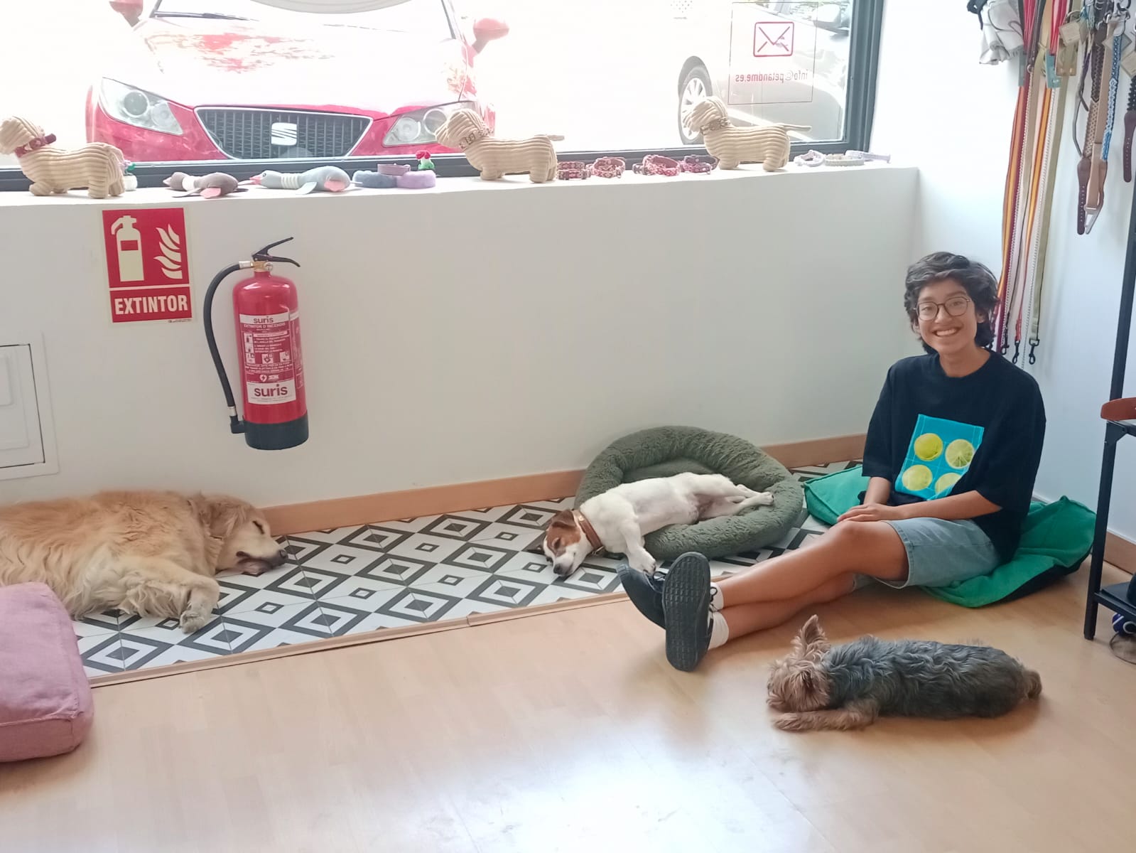Guardería canina PET&Me 1