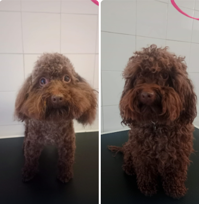Antes y después del corte 2