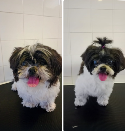 Antes y después del corte 3